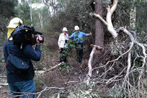 Channel 7 News videoing nest down