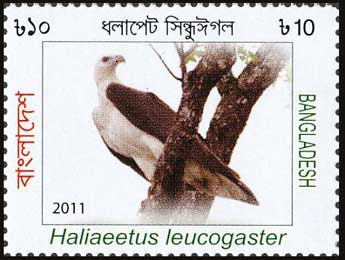 Bangladesh Eagle Stamp